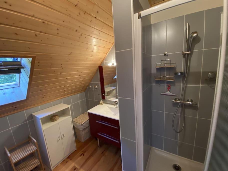 Accueillant Confort Chalet